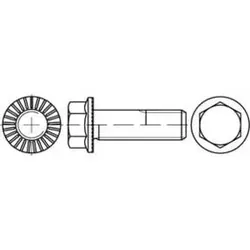 Sechskantschrauben mit Sperrrippen, Kl. 100 M6 x 14 S - Eisenwaren, 500 Stück Sechskant-Flanschschrauben mit Sperr-Rippen für festen Halt und hohe Stabilität in Ihren Projekten.