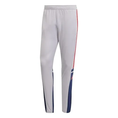 adidas Herren SQUADRA25 Training Pant, Glory Grey/Team Navy Blue 2 / Pure Ruby, M