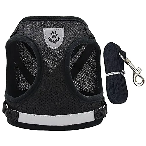 Hundegeschirr mit Leine Set für kleine Hunde ,Verstellbare Hundegeschirr Reflektierend kein Ziehen Brustgeschirrem Katzengeschirr Atmungsaktiv Dog Harness (S)