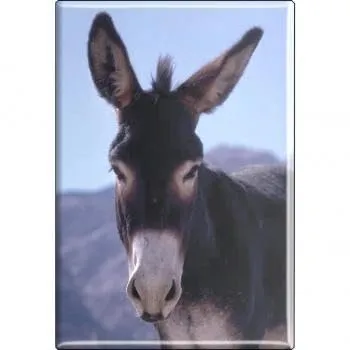 Kühlschrankmagnet - Esel - Gr. ca. 8 x 5,5 cm - 37130 - Magnet Küchenmagnet