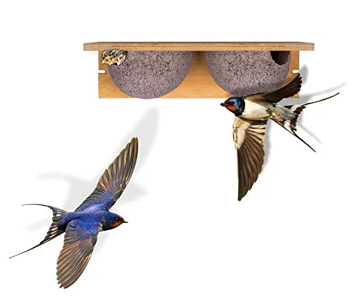 BigDean Schwalbennistkasten Doppelnest von BigDean