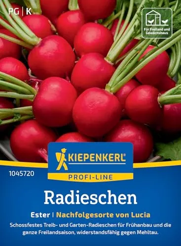 Kiepenkerl Profi-Line Radieschensamen Ester 1045720 - Widerstandsfähige Sorte - Frühanbau - Inhalt für 8 bis 10 lfd. Meter - Samen Gemüse, Saatgut