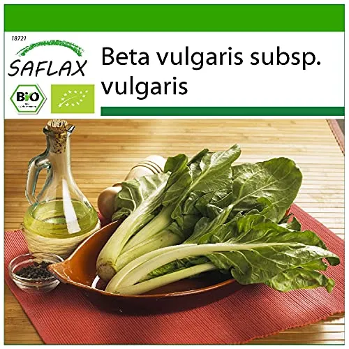 SAFLAX - BIO - Schweizer Mangold - 150 Samen - Mit keimfreiem Anzuchtsubstrat - Beta vulgaris