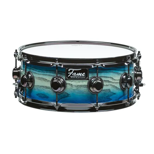 Fame Fortress Snare 14