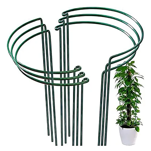 Pflanzenstütze Halbrund Metall, 6 Pcs Strauchhalter Garten, Strauchstütze Halbrund, Blumenstütze Rankhilfe, Pflanzenhalter Hortensien, Gartenrandstützen für Tomaten Rosen Blumenrebe Hortensien Ranken