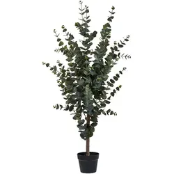 House Nordic Eucalyptus 120 cm - Kunstpflanze - Kunstpflanze aus Eucalyptus, 120 cm hoch, pflegeleicht und ideal für stilvolle Wohnräume.