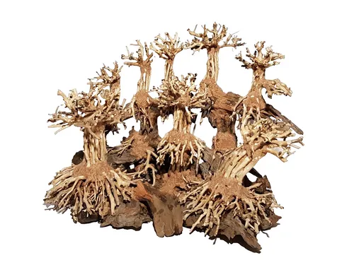 Aquarienlandschaft Landscape Aquascaping Unikate von Dupla - Handgefertigte Dekoration für Süßwasser-Aquarien, bringt natürliche Schönheit und Individualität in Ihr Aquarium.