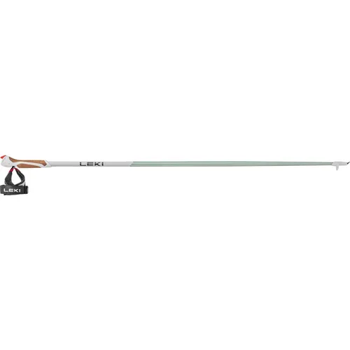LEKI Passion Nordic Walking Stock 120cm - Ergonomischer und leichter Carbon Wanderstock für Nordic Walking, ideal für Bergsteigen und Trekking, in smokegreen-White.
