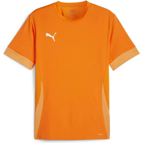 Puma teamGOAL Matchday Jersey (L) (705747_08)
