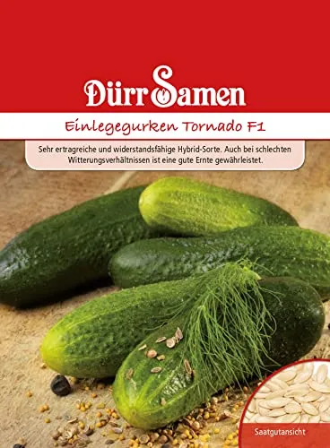 Dürr-Samen - Einlegegurken Tornado F1 Saatgut