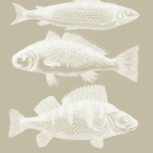 PPD Riviera Fish Taupe Tisch Servietten 20 Stück Tissue Taupe Weiß 12.5 cm