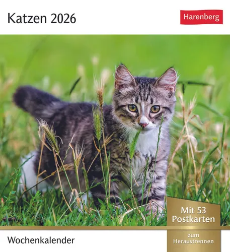 Harenberg Postkartenkalender Katzen 2108400 von Harenberg