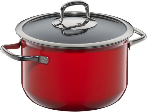 WMF Fleischtopf Fusiontec 22 cm - Kochtöpfe aus FUSIONTEC, hitzebeständig bis 250°C, ideal für alle Herdarten, mit wärmereduzierenden Hohlgriffen und 30 Jahren Herstellergarantie.