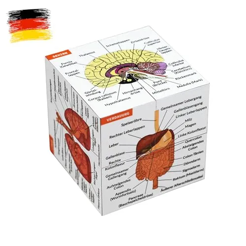 Wissenschaftssets von Kits of Medicine