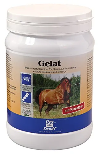 Derby Gelat für Pferde