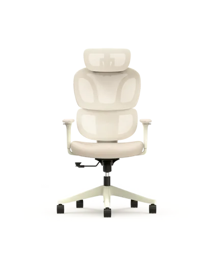 Flexispot Bürostuhl BS5