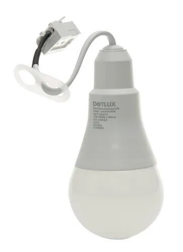 Dotlux DOTL LED-Baustellenfassung 4997-040270VPE - Robuste Arbeitsleuchte für Werkstatt und Fahrzeugwerkstatt, bietet helles LED-Licht für optimale Sicht bei Bauarbeiten.