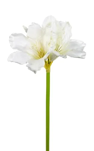 Seidenblumen Roß Amaryllis 65cm HB Kunstblumen künstlicher Ritterstern Blumen Pflanzen Dekoblumen (Weiß)