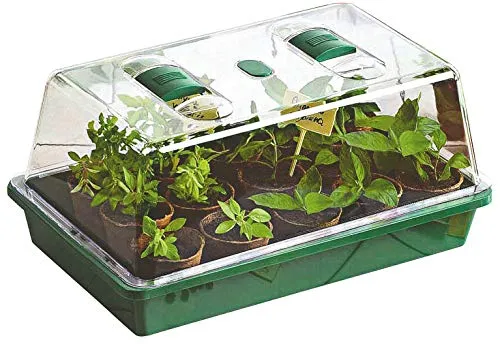 Spetebo Mini Gewächshaus zur Anzucht - 38 x 24 cm - Anzuchtgewächshaus mit Lüftungsschlitzen - Treibhaus Zimmergewächshaus