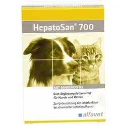 Tabletten HepatoSan 700 30