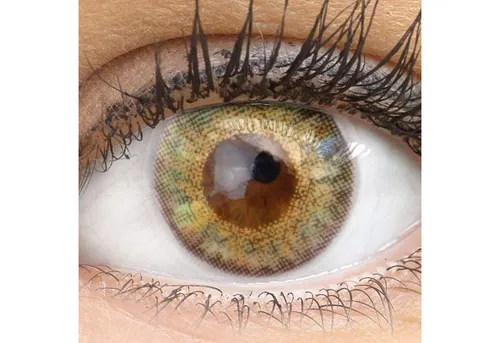 Kontaktlinsen Grün von GLAMLENS