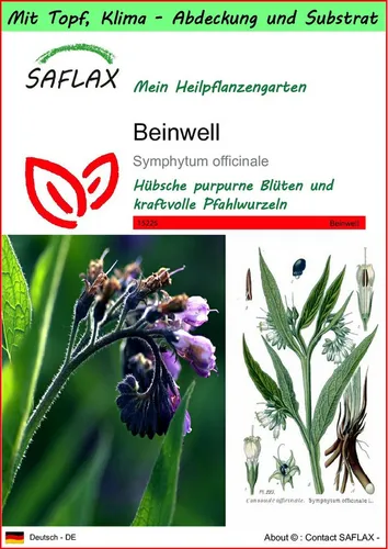 SAFLAX Blumensamen SAFLAX - Garden to go - Beinwell