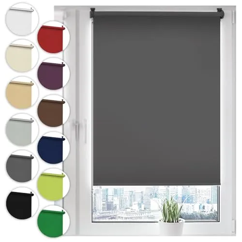 Verdunkelungsrollo Klemmfix 55cm x 100cm Grau – ohne Bohren in grau von Sonello