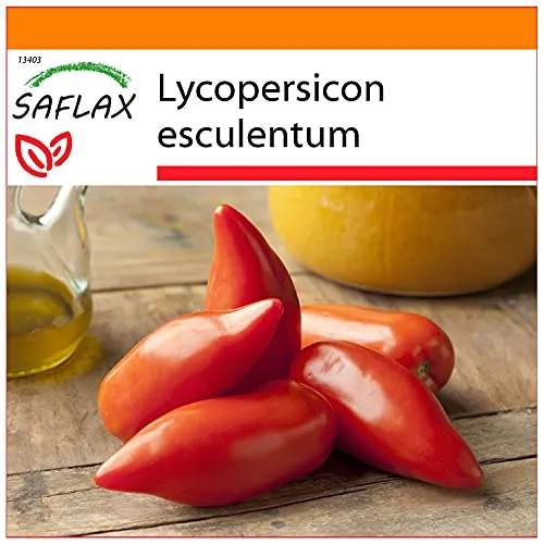 SAFLAX - Garden in the Bag - Tomate - Andenhorn/Cornue des Andes - 10 Samen - Mit Anzuchtsubstrat im praktischen, selbst aufstellenden Beutel - Lycopersicon esculentum