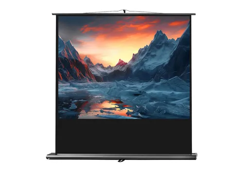 celexon Ultramobil Professional Pull-Up-Leinwand 95