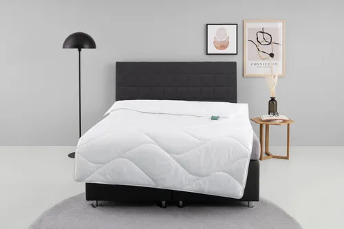 fan Microfaserbettdecke Microfaser kochfest, Bettdecken für Sommer und Winter, Decke, Füllung: 100% Polyester, Bezug: 100% Polyester, Bettdecke 135x200 cm, 155x220 cm und weitere Größen, Made in Germany
