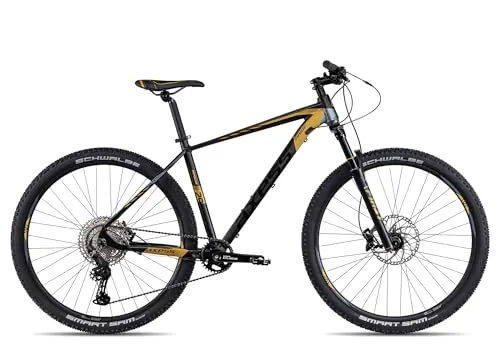 Axess Pride Mountainbike | 1x11-Schaltung & Hydraulische Scheibenbremsen - E-Bike mit modernem Hardtail-Design, nur 14,1 kg leicht. Ideal für sportliche Touren und den täglichen Weg zur Arbeit. Flexibel anpassbar mit Montagemöglichkeiten für Zubehör.