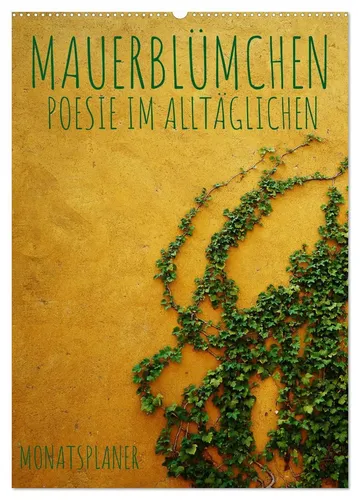 Kirsten d'Angelo - soulimages | Mauerblümchen Kalender 2025 - Kalender mit 14 Seiten, inspiriert von Poesie im Alltäglichen. Ideal für Kunstliebhaber und zur Verschönerung Ihres Raumes. Hochwertiger Druck von Calvendo.