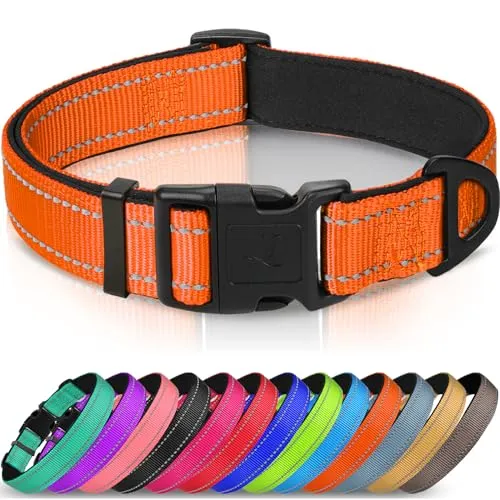 Joytale Halsband Hund, Gepolstertes Hundehalsband Breit aus Neopren Nylon Hundehalsband Verstellbar für Kleine Hunde, Weich und Reflektierend Hundehalsbänder, S, Orange