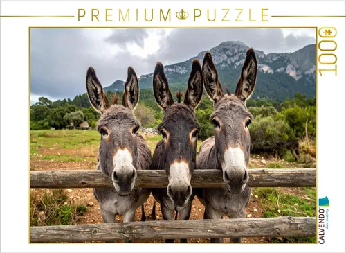 CALVENDO Puzzle Drei fröhliche Esel | 1000 Teile Lege-Größe 64x48cm Foto-Puzzle