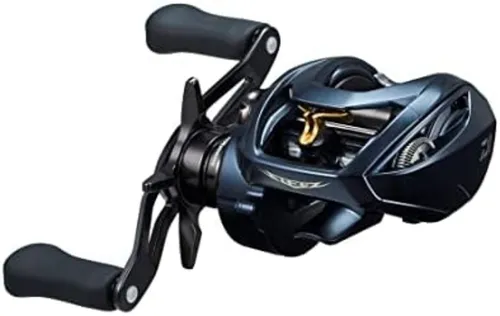 Daiwa Steez AII TW 1000H Köderrolle 2022