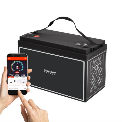 100Ah 12V LiFePO4 Lithium Batterie mit BMS und Bluetooth-Display