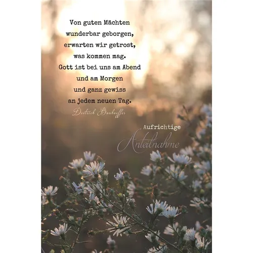 Trauer Beileid Kondolenz Trauerkarte mit Umschlag Blütenzweige