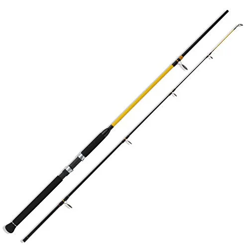 WFT Never Crack Senso Pilk 2,10m 20-120g Pilkrute von WFT