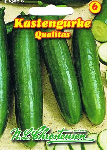 Kastengurke Qualitas Gurke Salatgurke