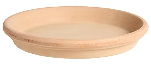 Pflanzenteller | Pflanzenuntersetzer | Teller | Vogeltränke aus Terracotta in verschiedenen Größen -Echt Terracotta- Ideal für Pflanzgefäße (21cm)