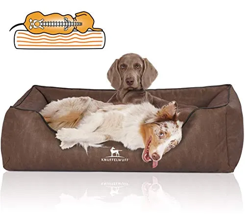 Knuffelwuff Orthopädisches Hundebett Rockland XL 105 x 75cm Braun - Hundebett mit orthopädischer Memory Foam Matratze für gesunden Schlaf, hohe Seitenränder für Schutz und Geborgenheit, pflegeleichtes Kunstleder - ideal für jeden Hund.