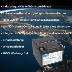 Exide Sonnenschein A512/25 G5 VdS 12V 25Ah Blei-Gel-Akku von Sonnenschein / Exide