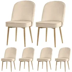 HAUSS SPOLE Esszimmerstuhl 6er Set mit goldenen Metallbeine für Esszimmer, Wohnzimmer Samt beige (Polsterstühle, Wohnzimmerstuhl, Küchenstuhl, 6 St), Rutschfestes Fußdesign, Ergonomisches Design beige