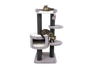 CanadianCat Company Kratzbaum Edward
