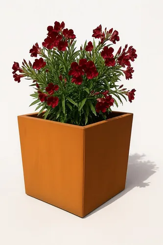Czaja Pflanzkübel Pflanzkübel 40x40 cm aus Cortenstahl