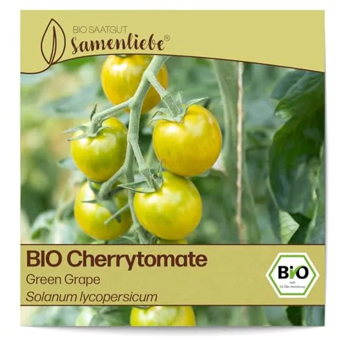 Samenliebe BIO Cherrytomaten Samen alte Sorte Green Grape Cocktailtomate Tomate grün gelb 10 Samen samenfestes Gemüse Saatgut für Gewächshaus Freiland und Balkon BIO Gemüsesamen