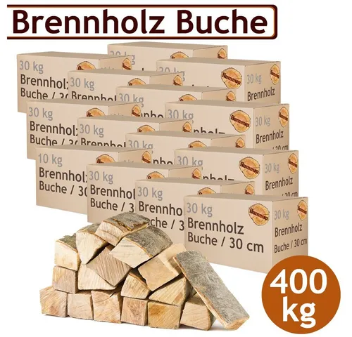 Flameup Kaminholz Brennholz Kaminholz Holz 5-500 kg Ofen Kamin Kaminofen Buche 30 cm, 400 kg