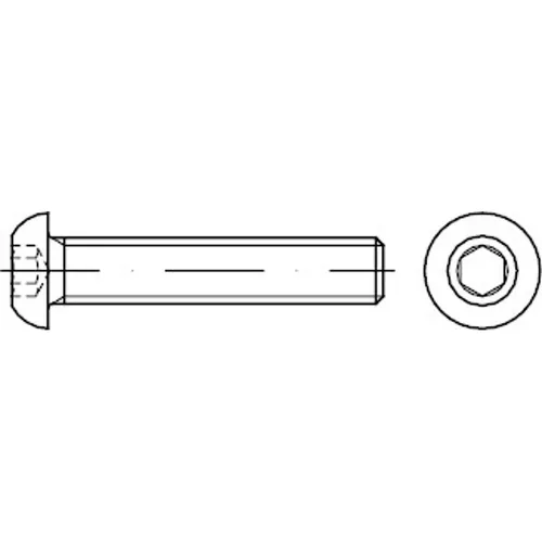 Reyher ISO 7380 V2A Flachkopfschrauben 8x30 (200 Stück) von DIN- und Normteile