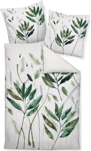 Janine Design Mako-Satin Bettwäsche-Garnitur Modern Art 42066 in Grün, 155x200 cm + 80x80 cm - Hochwertige Bettwäsche aus 100% Mako-Baumwolle für erholsamen Schlaf. Modernes Design mit langlebigem Reißverschluss, maschinenwaschbar bis 60°C und trocknergeeignet.