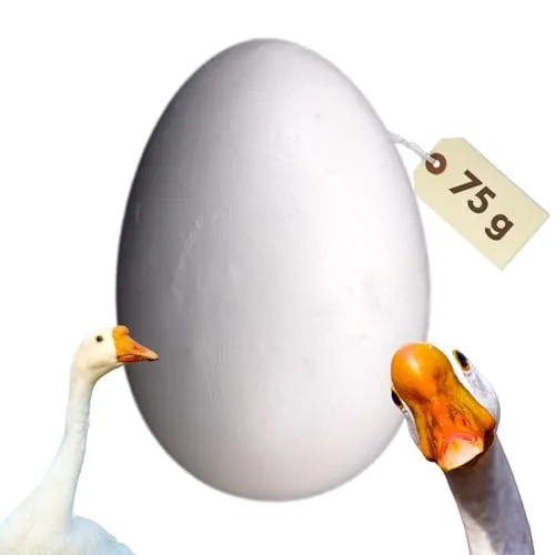 Zubehör für Terrarien von GarPet